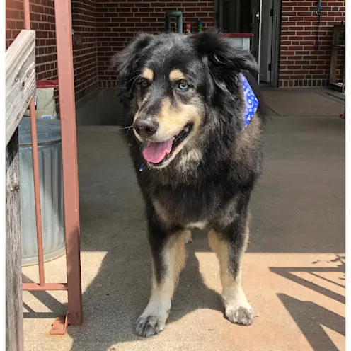 Frankie Burke Frankie Burke