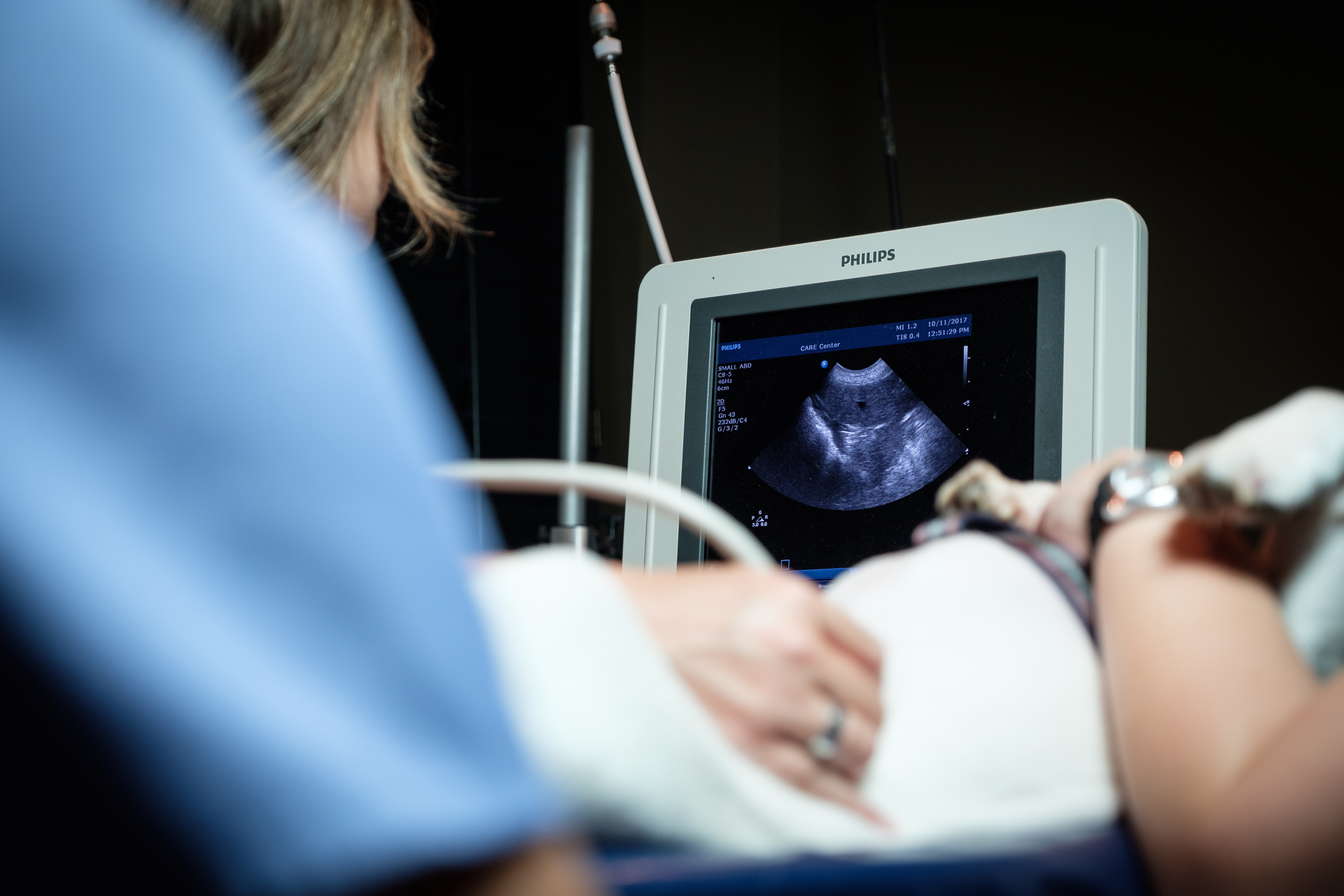 Doctor doing ultrasound on a dog