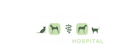 Thicketwood Veterinary Hospital Logo Thicketwood Veterinary Hospital Logo