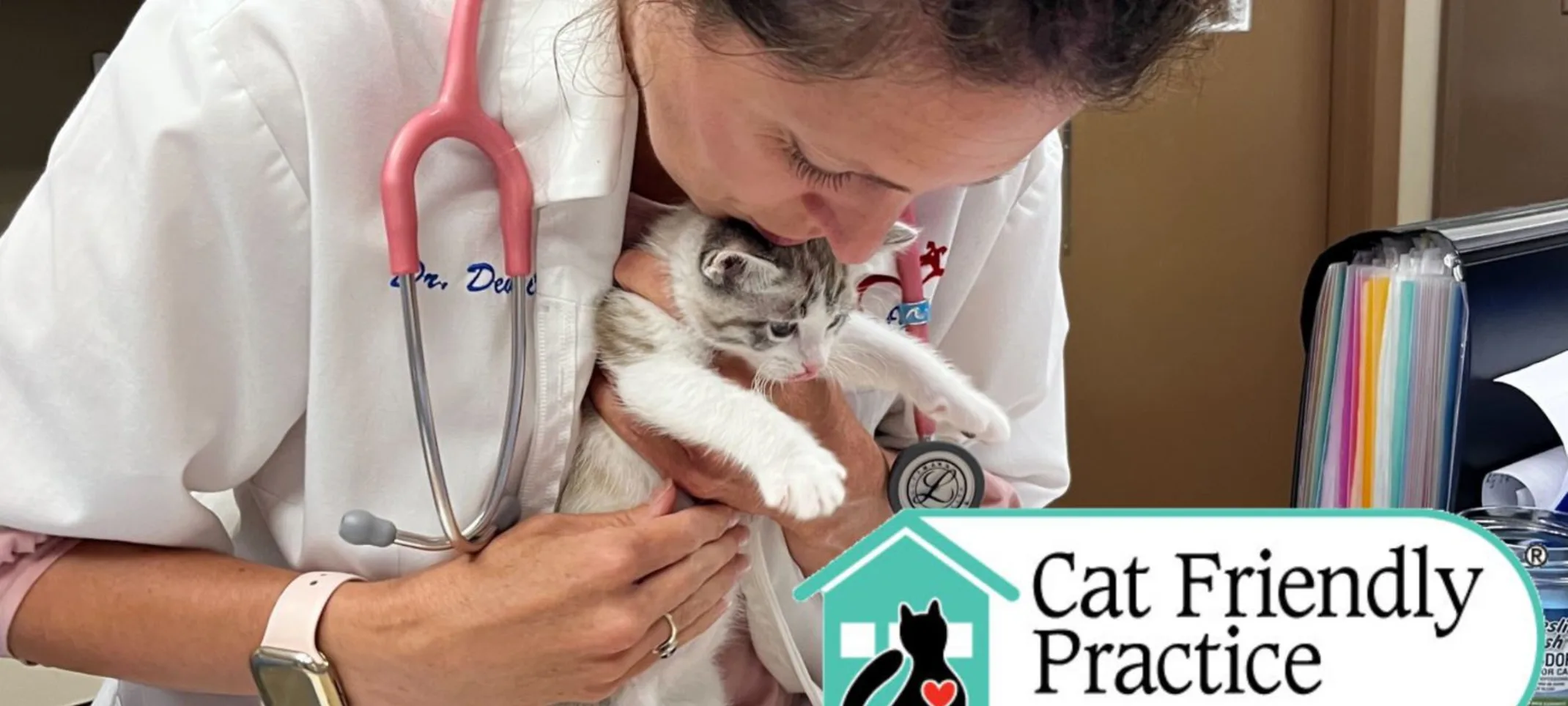 Vet holding white kitten 