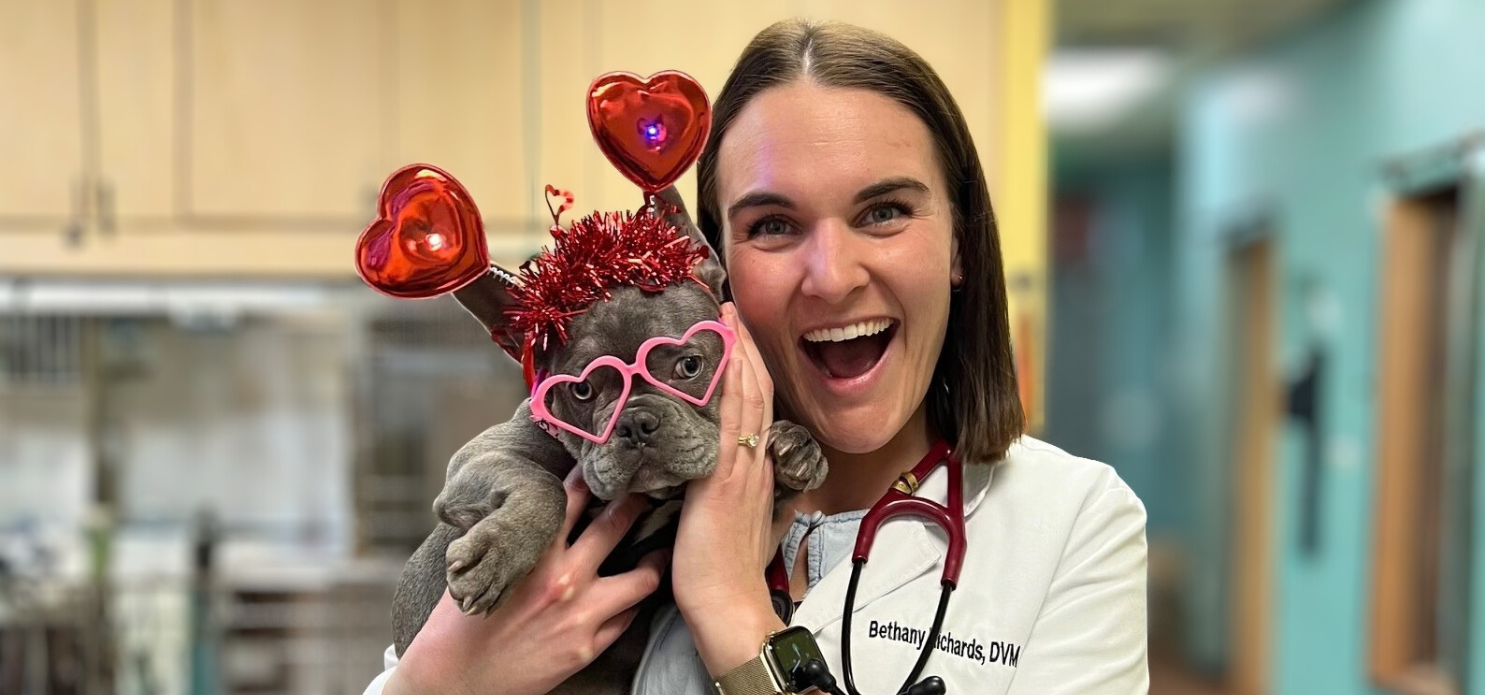 How do you show love for your clients and their pets?