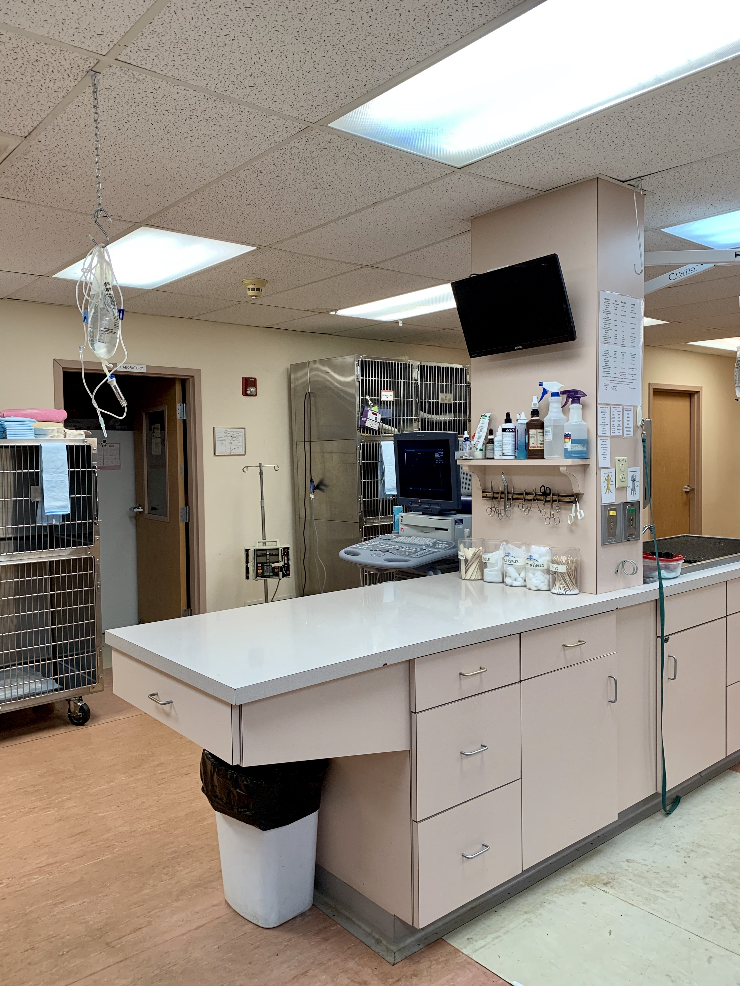Surgery Area 1 at Camboro Veterinary Hospital