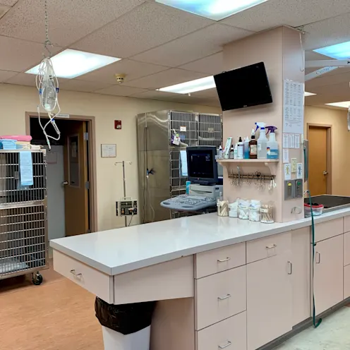 Surgery Area 1 at Camboro Veterinary Hospital Surgery Area 1 at Camboro Veterinary Hospital