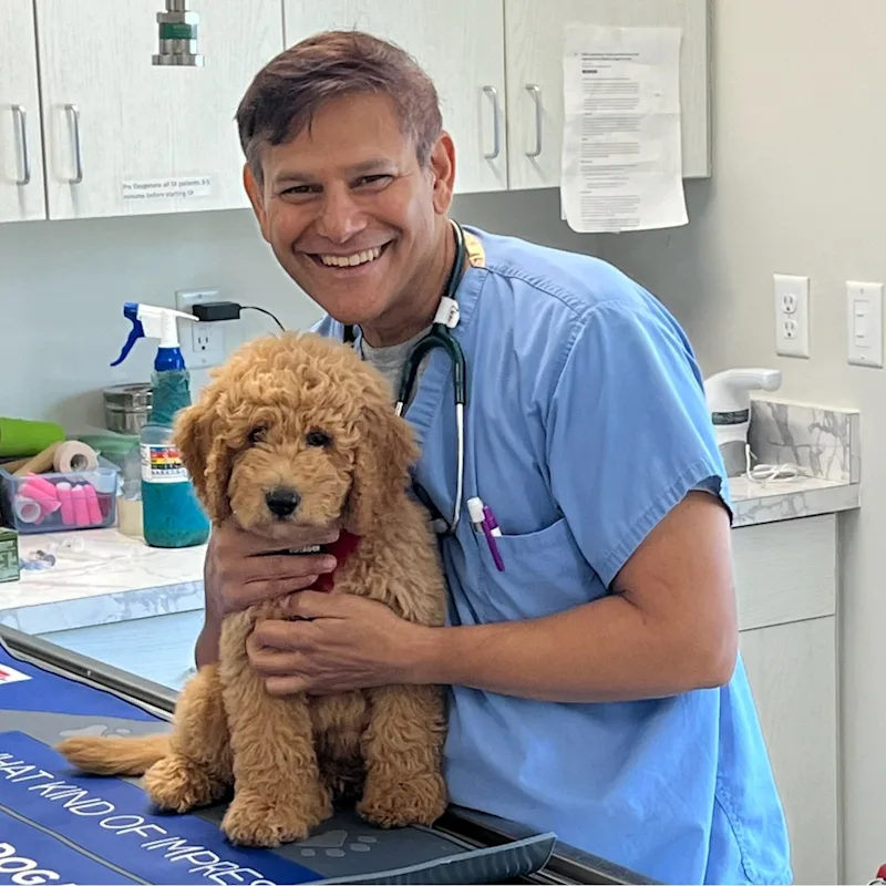 Dr. Darrell Nazareth Dr. Darrell Nazareth