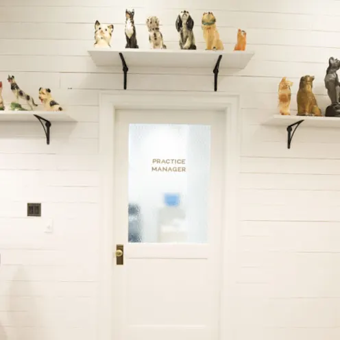 Reception Area Reception Area