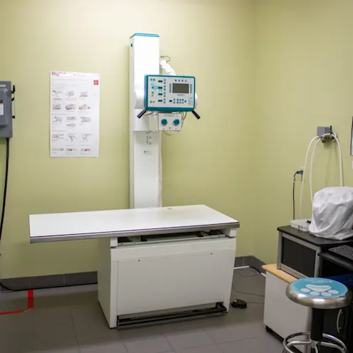 X-Ray Room X-Ray Room