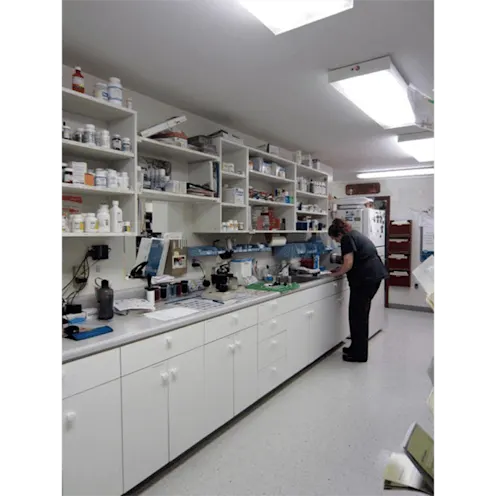 Laboratory Laboratory