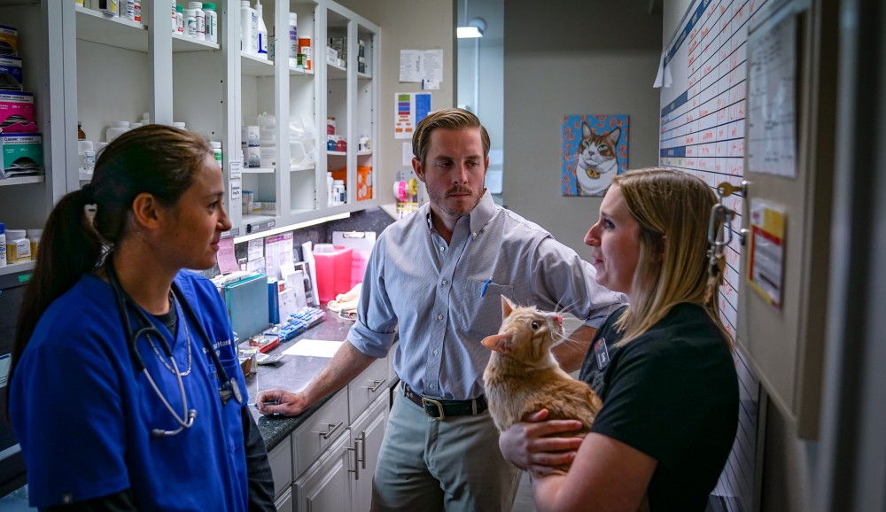 3 staff members talking with a cat