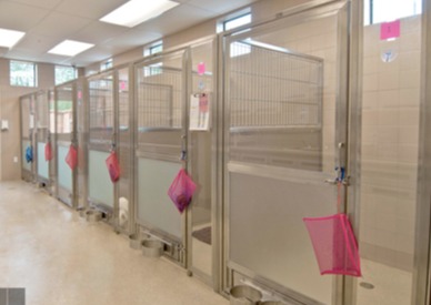 Brookfield Veterinary Hospital Boarding kennels