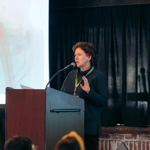 Summit Karina Summit Karina