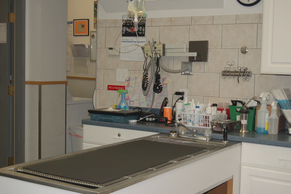 Exam Room at Kenmore Animal Hospital