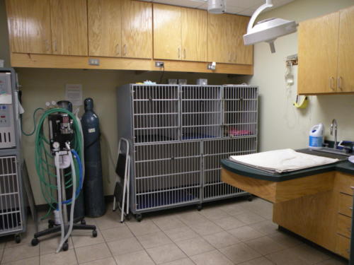 ICU at Southside Animal Hospital
