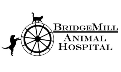 BridgeMill Animal Hospital Logo