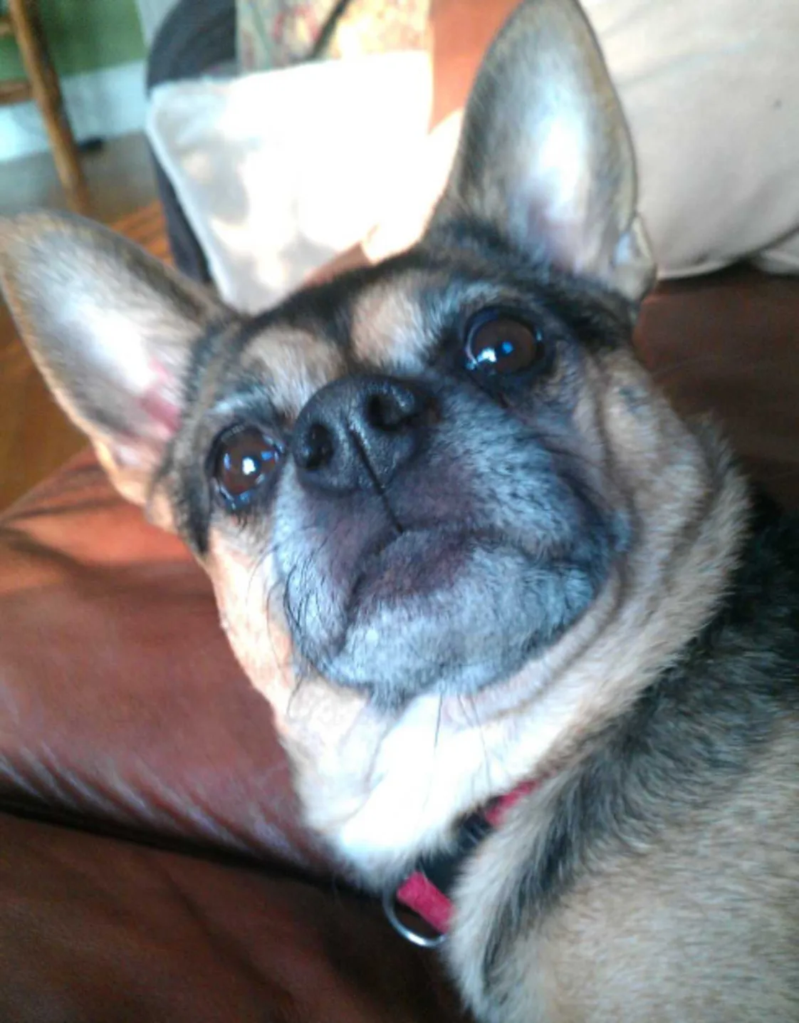 Taco Hewitt Taco Hewitt