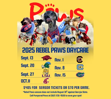 Rebel Paws Daycare 2025 at Pampered Paws Animal Hospital Rebel Paws Daycare 2025 at Pampered Paws Animal Hospital