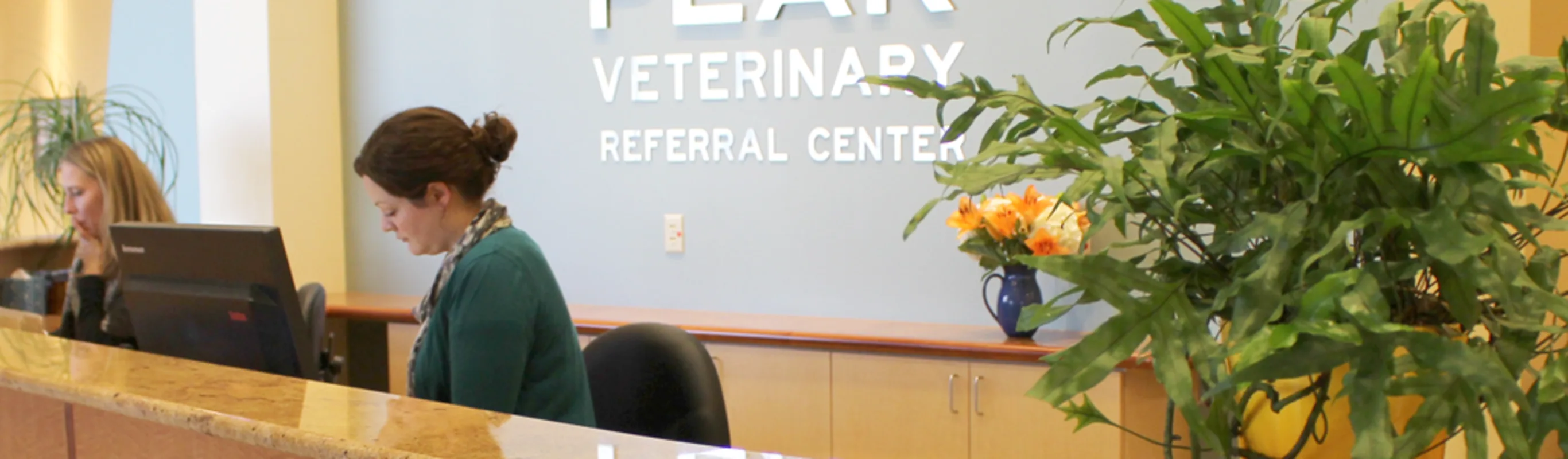 Receptionists at front desk