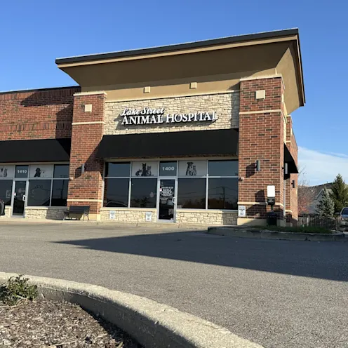 Hospital Exterior at LSAH Hospital Exterior at LSAH