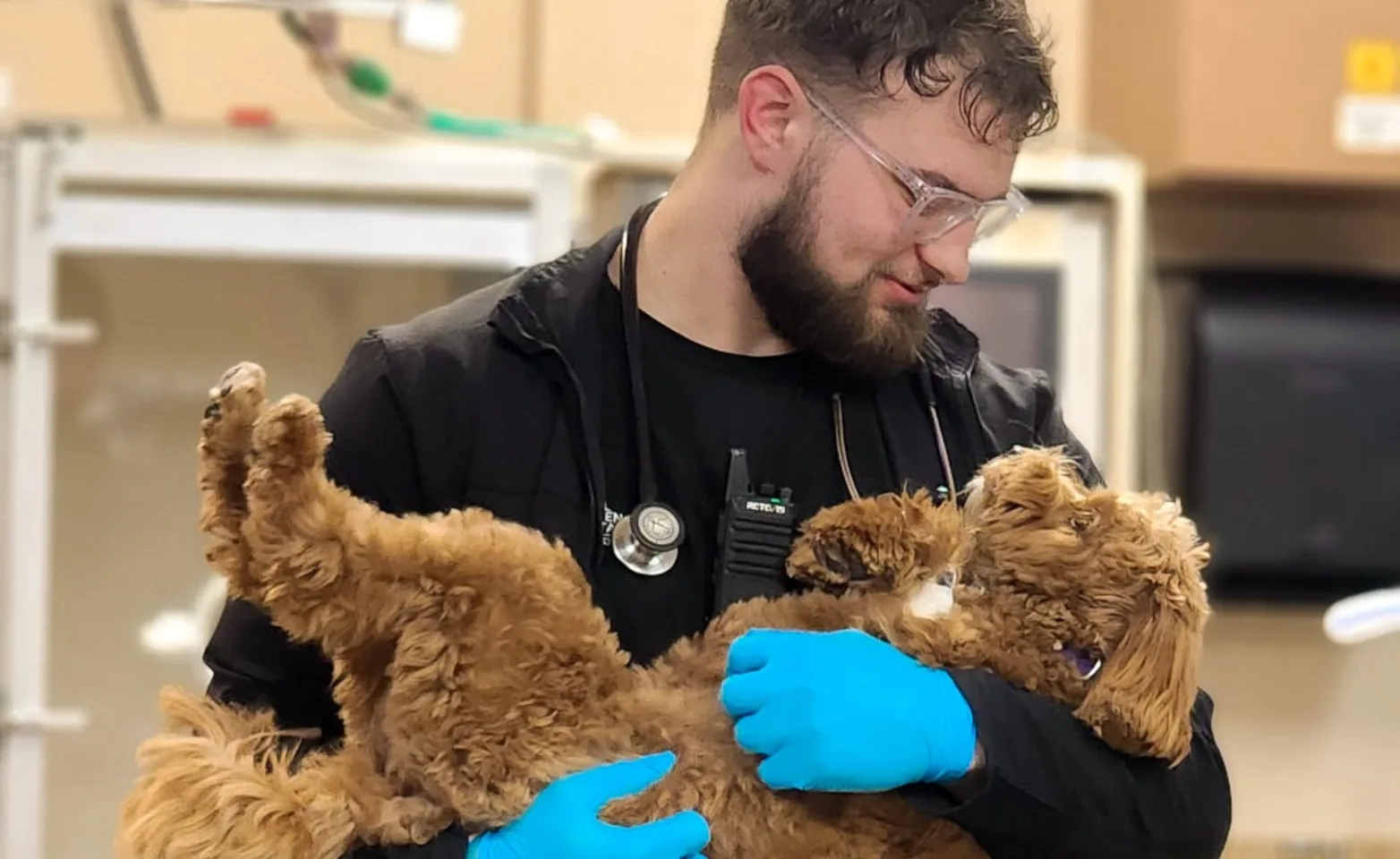 Staff member holding a golden doodle. Staff member holding a golden doodle.