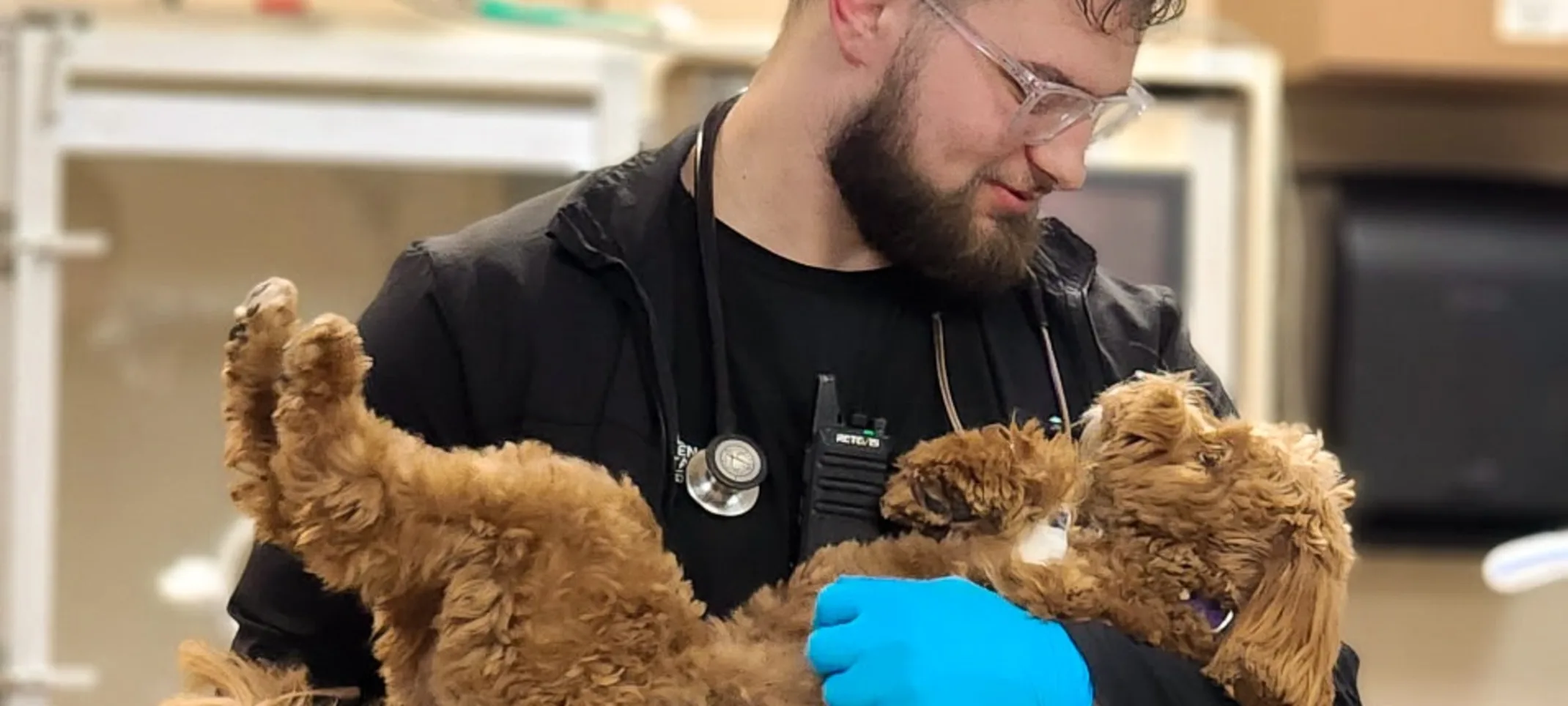 Staff member holding a golden doodle. Staff member holding a golden doodle.