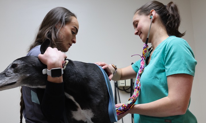Dr. Lynn examining a patient
