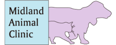 Midland Animal Clinic-FooterLogo