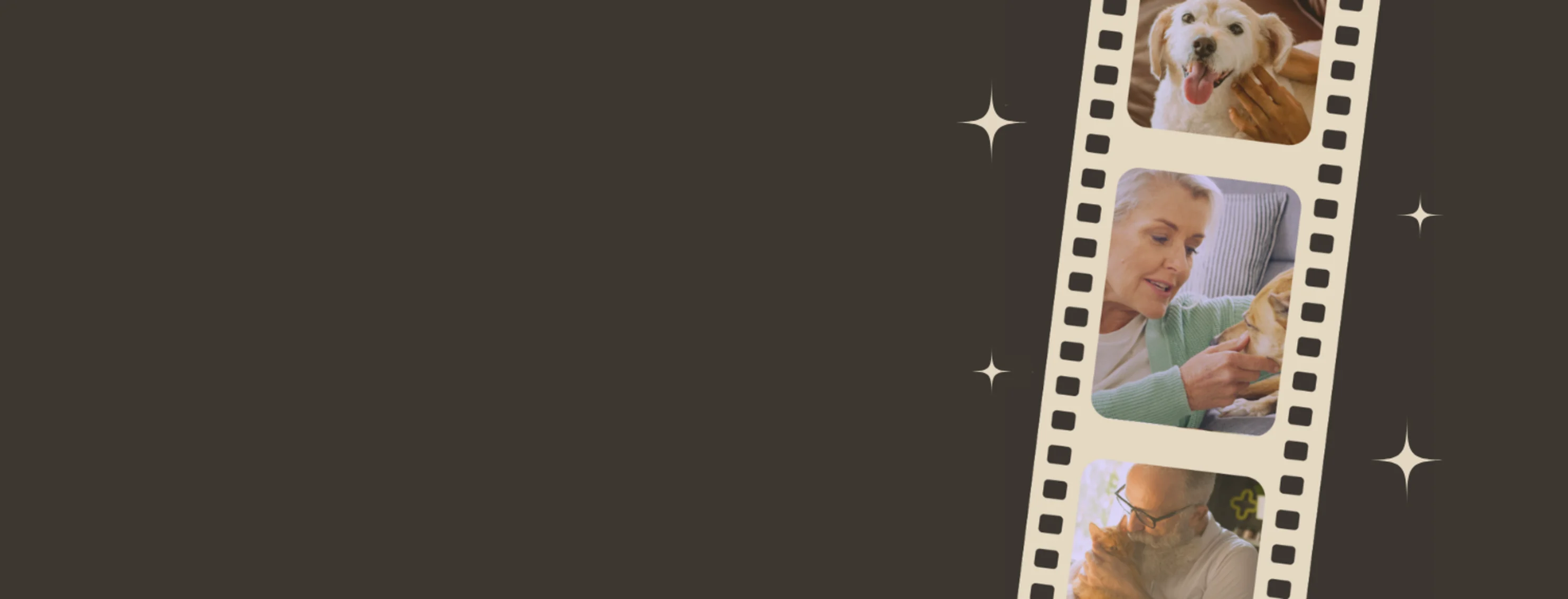 Central Animal Hospital - Senior Discount Day Central Animal Hospital - Senior Discount Day