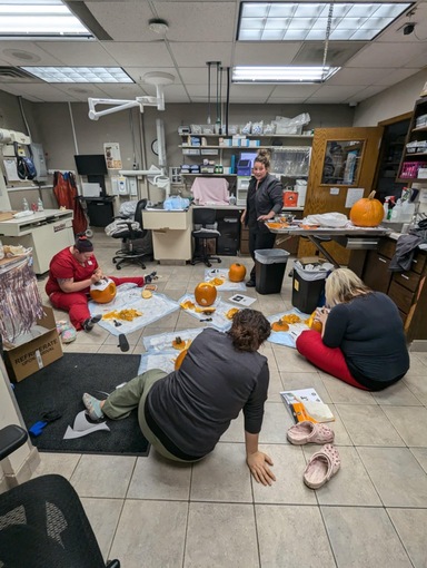 Staff Members Carving Pumpkins Together