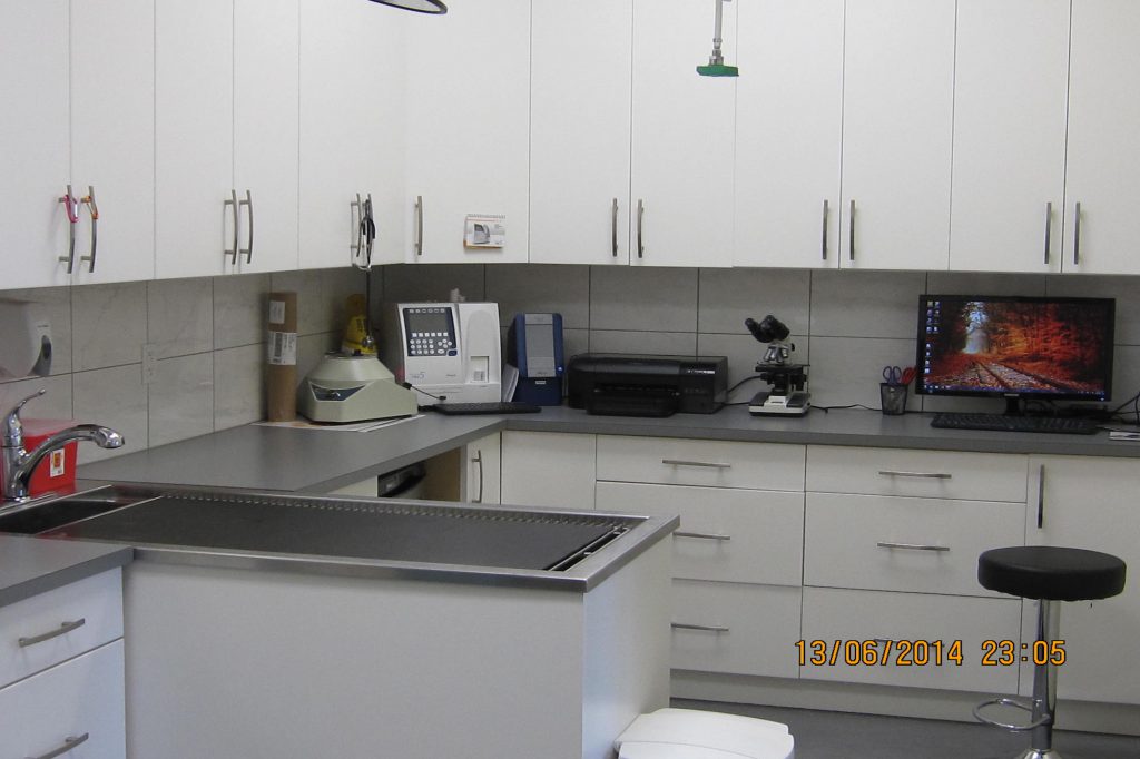 Exam Room for Burtch Animal Hospital