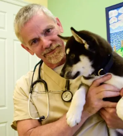 Animal Hospital of Orange Grove Dr. Anderson Animal Hospital of Orange Grove Dr. Anderson