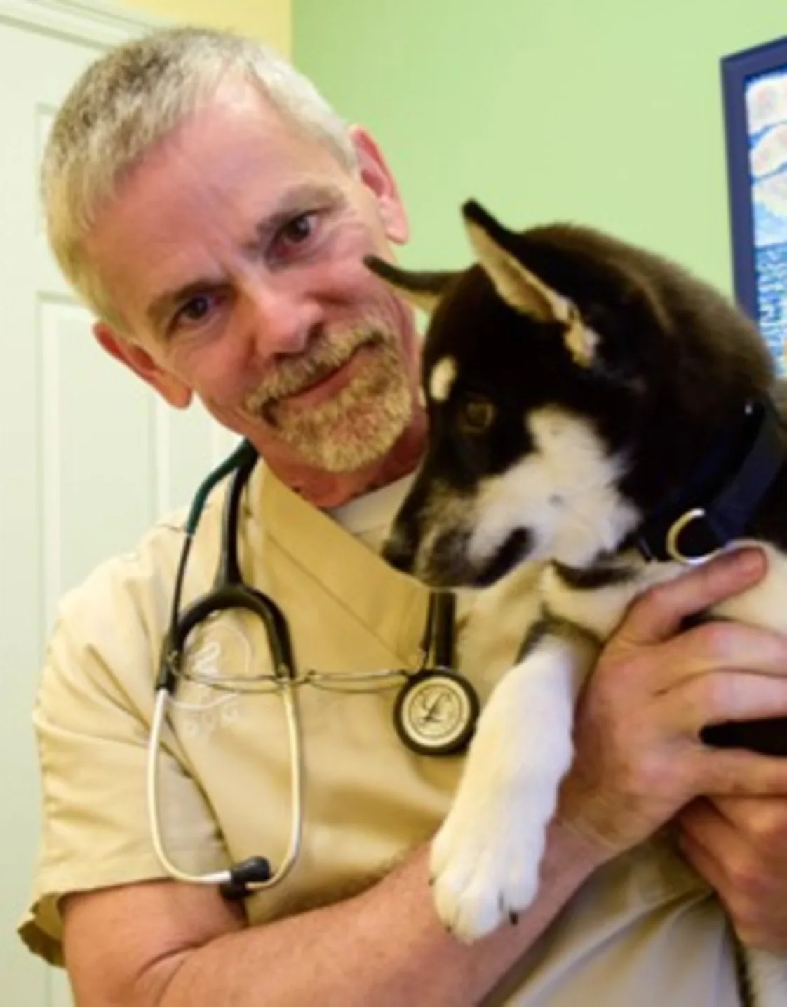 Animal Hospital of Orange Grove Dr. Anderson Animal Hospital of Orange Grove Dr. Anderson