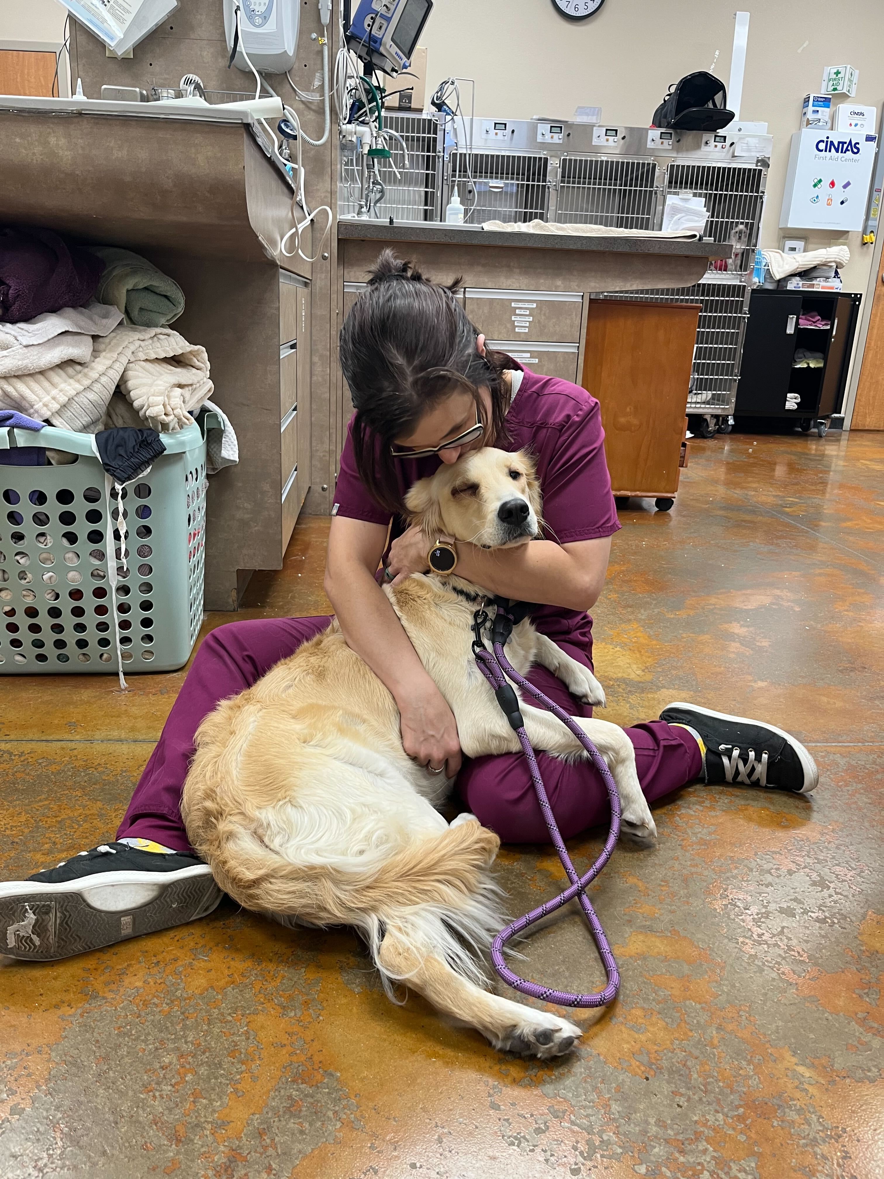 Staff Giving a Golden Retriever Hugs & Kisses