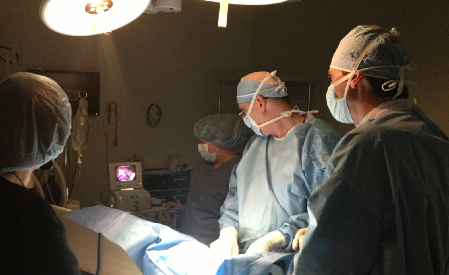 veterinary team performing laparoscopic surgery