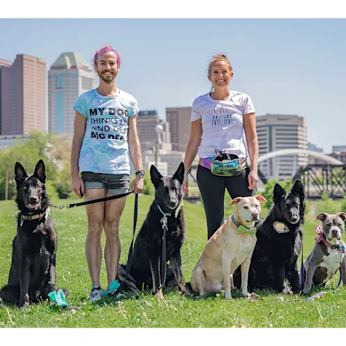 Effy with someone holding dogs on leasehes at the park Effy with someone holding dogs on leasehes at the park