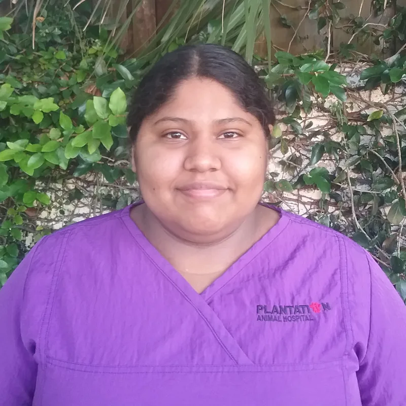 Margarita Cazarez at Plantation Animal Hospital of Tampa Margarita Cazarez at Plantation Animal Hospital of Tampa