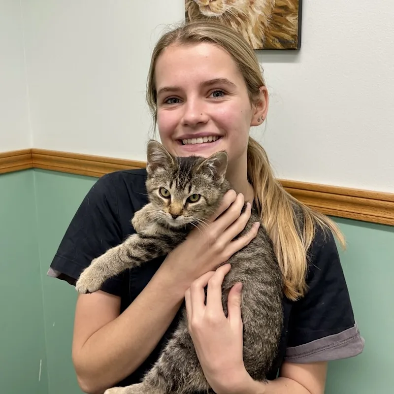 New Staff Member New Staff Member