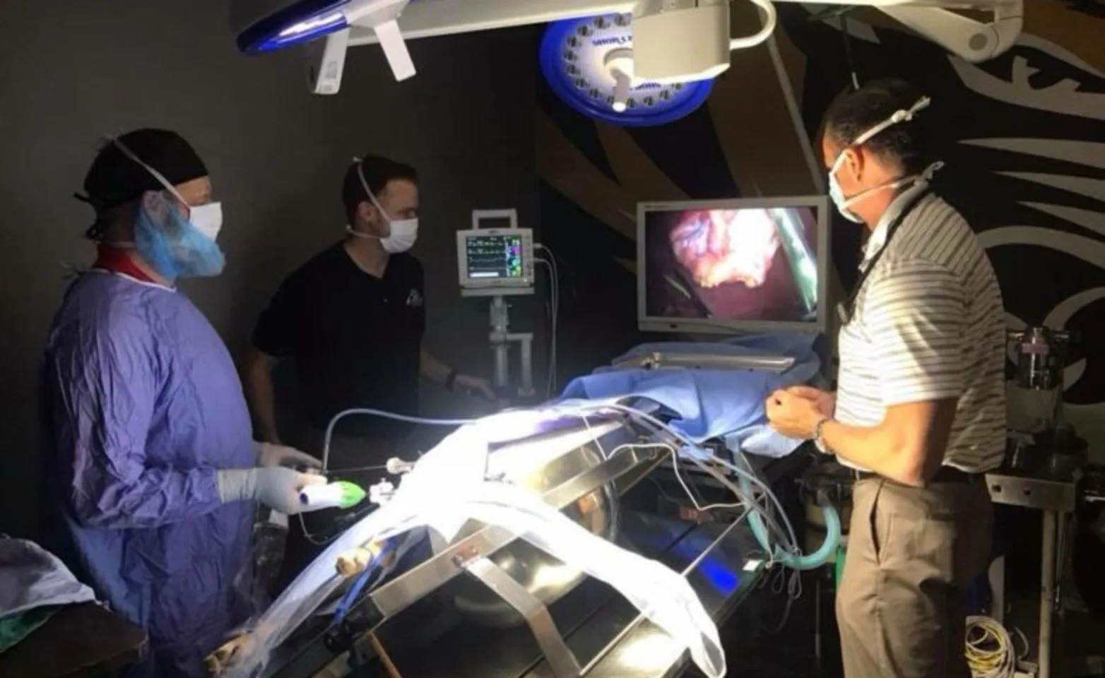 Veterinarians overseeing a laparoscopic surgery Veterinarians overseeing a laparoscopic surgery