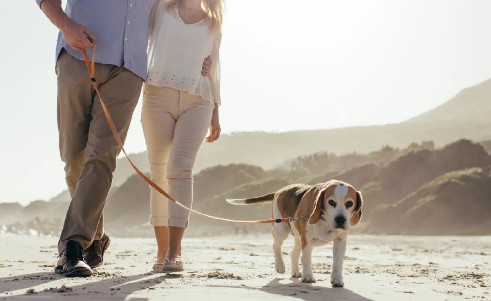Couple Walking Dog on Beach Couple Walking Dog on Beach