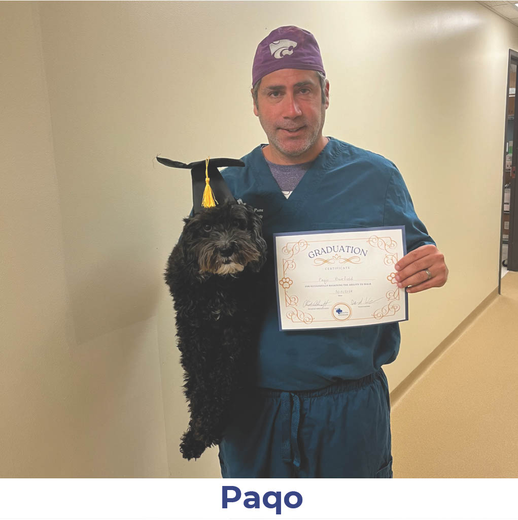 Paqo the dog with Neurology Graduate Hall of Fame certificate