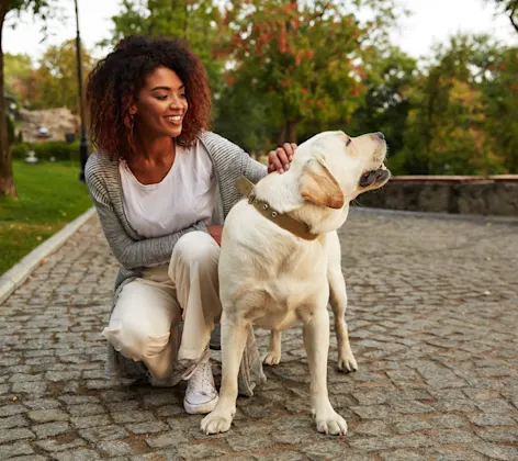 Woman petting dog Woman petting dog