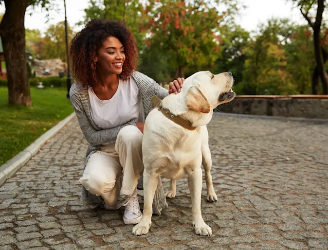 Woman petting dog Woman petting dog