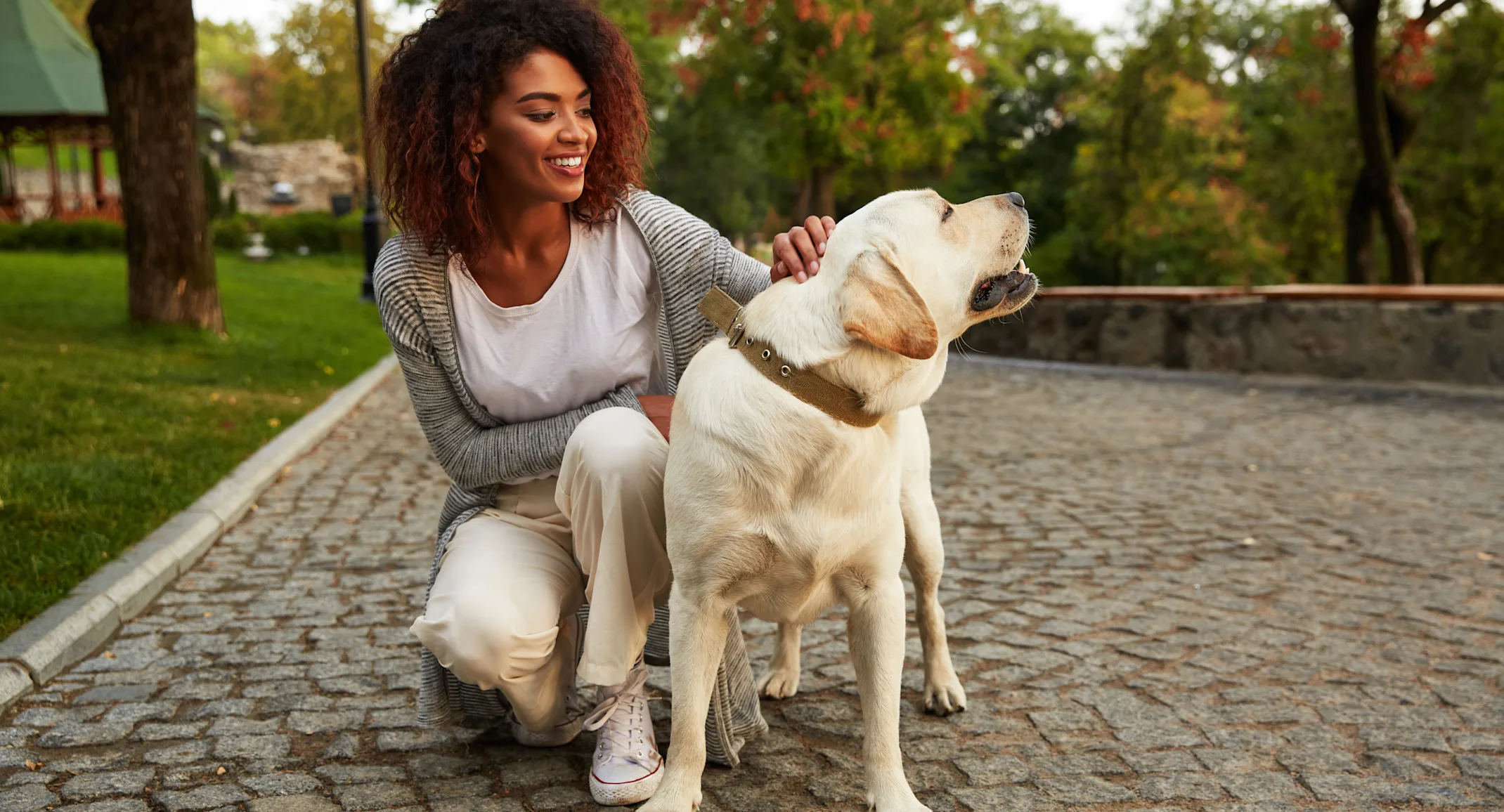 Woman petting dog Woman petting dog