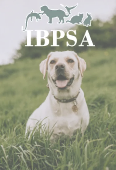 IBPSA IBPSA