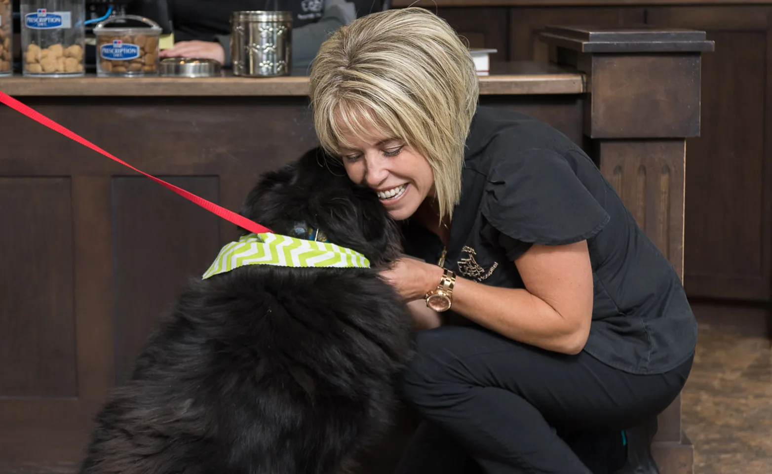 Vet hugging a dog Vet hugging a dog