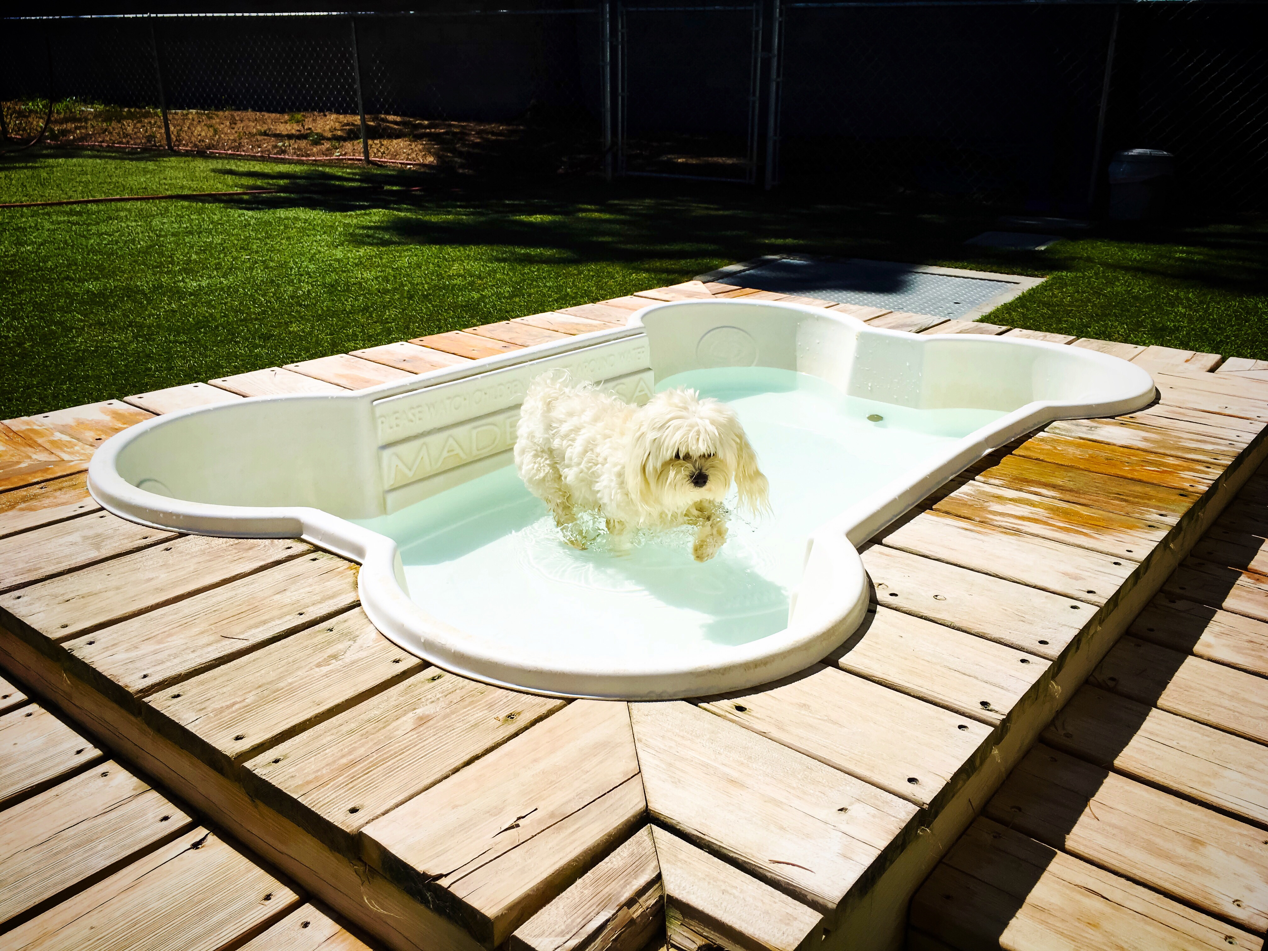  Folsom Dog Resort & Training Center Outside