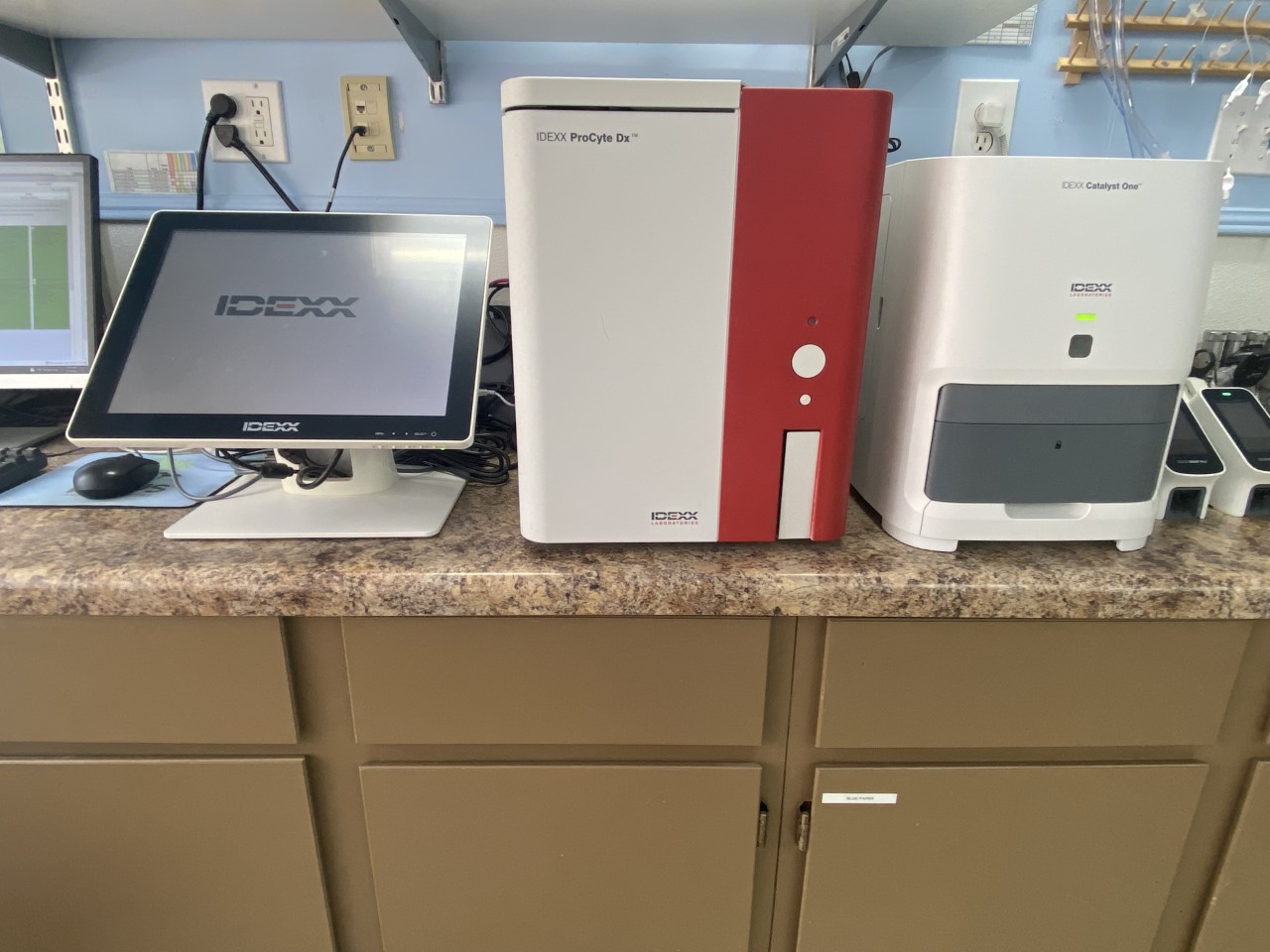 Instruments at Pampered Paws Animal Hospital.