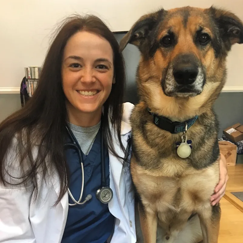 Melissa Hanley Melissa Hanley