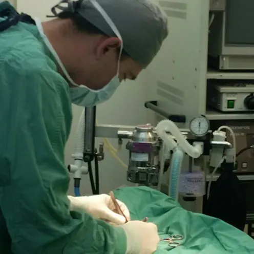 Surgeon performing surgery at Merrimack Veterinary Hospital