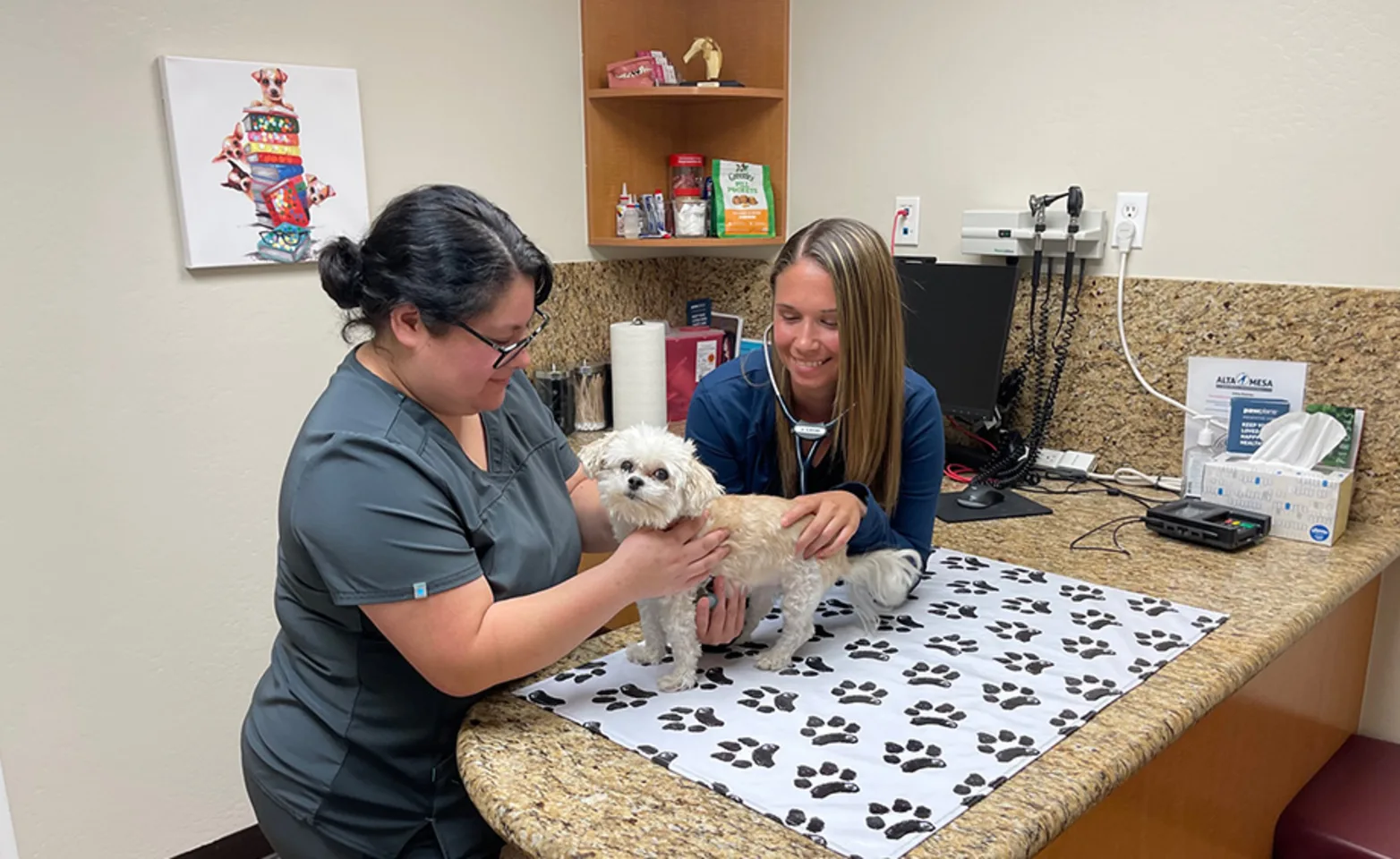 Two Staff Members with a White Dog at Alta Mesa Animal Hospital