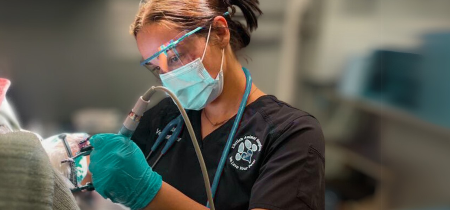 Test your love for dentistry: How sharp are your skills?