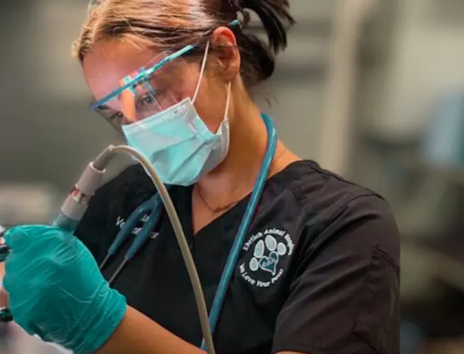 Test your love for dentistry: How sharp are your skills? Test your love for dentistry: How sharp are your skills?